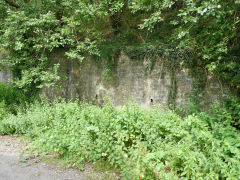 Adams Quarry loading bank, Brynawel, August 2012